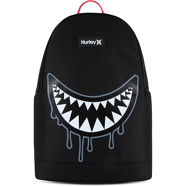 Amazon.com: Hurley Unisex-Adults One and Only Insulated Lunch Box